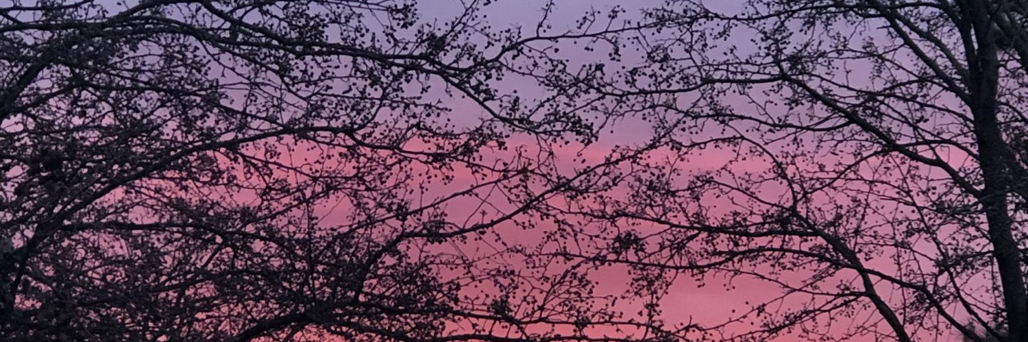 Lucia (Lou) 💚💙🌈 banner