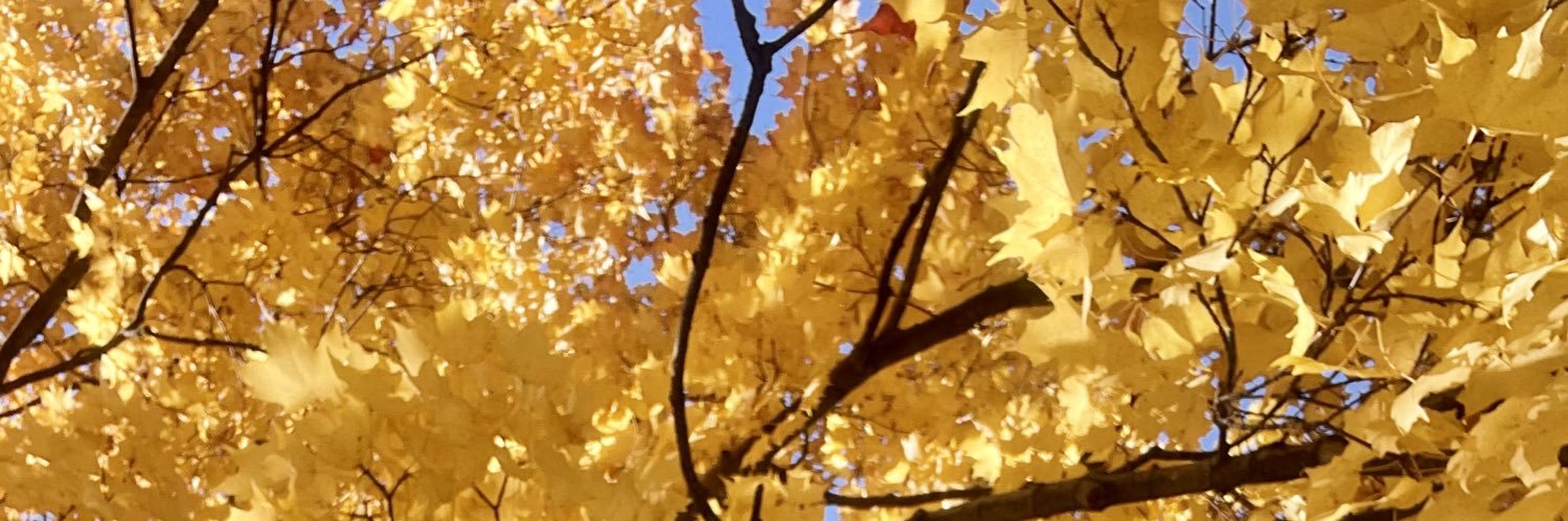 Melanie712's profile banner image