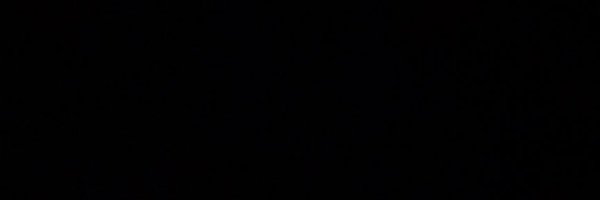 JoeyWeidl Profile Banner