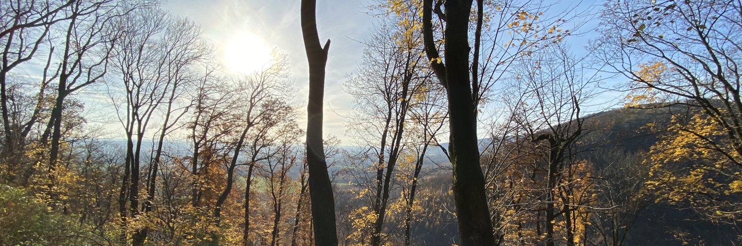 LuccasooV's profile banner image