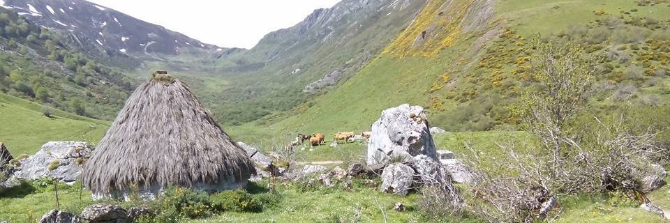 pablolaciana's profile banner image
