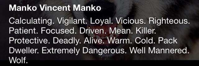 Vince_Mank's profile banner image