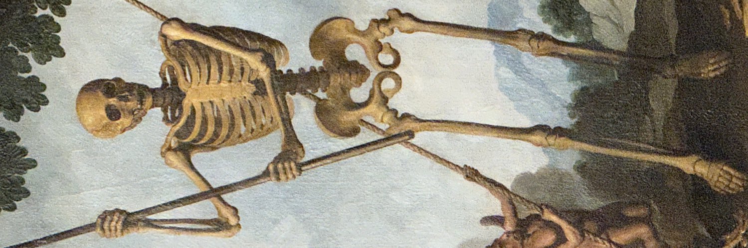 T_Cavazos's profile banner image