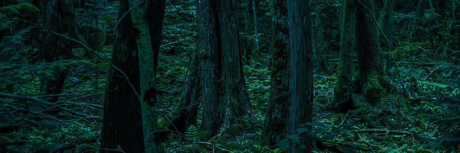 daitakas's profile banner image