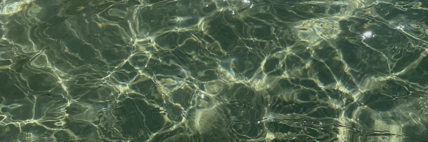 Bernibasso1's profile banner image