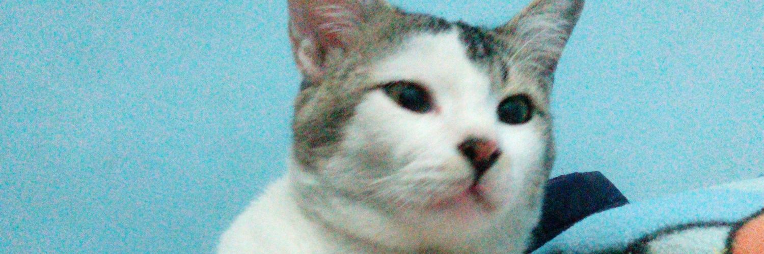 ERRRRRREEN's profile banner image
