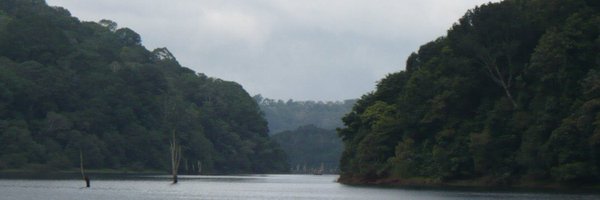 tjose66 Profile Banner