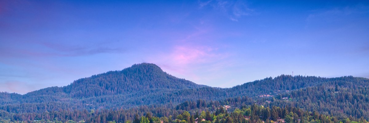 Brendan Cullen banner