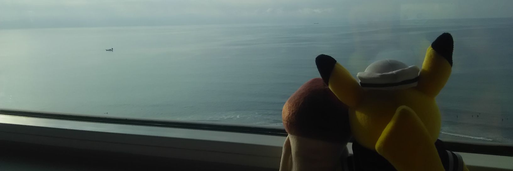 sae@ピカチュウマニアでなめこ栽培家 banner