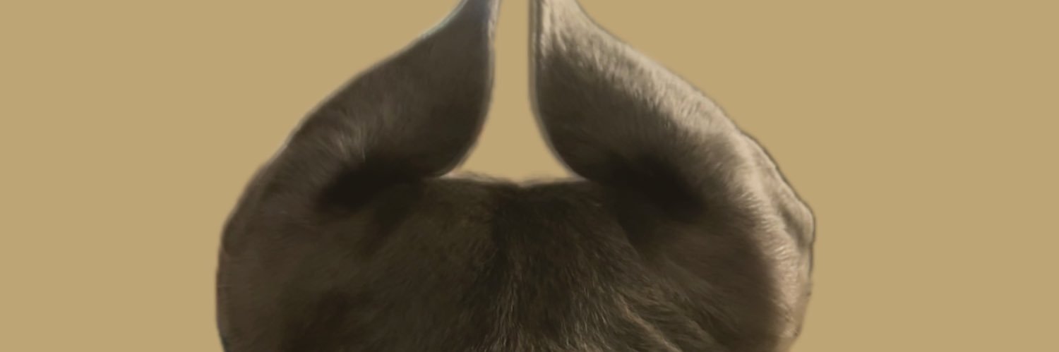 gilbertssoul's profile banner image