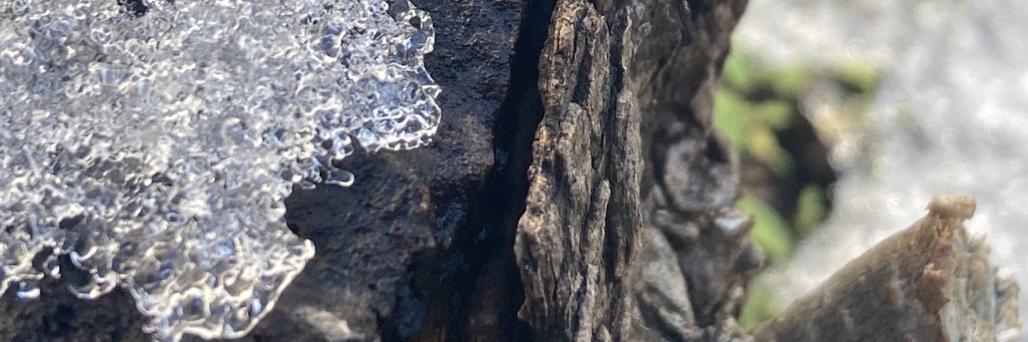 warsupial's profile banner image