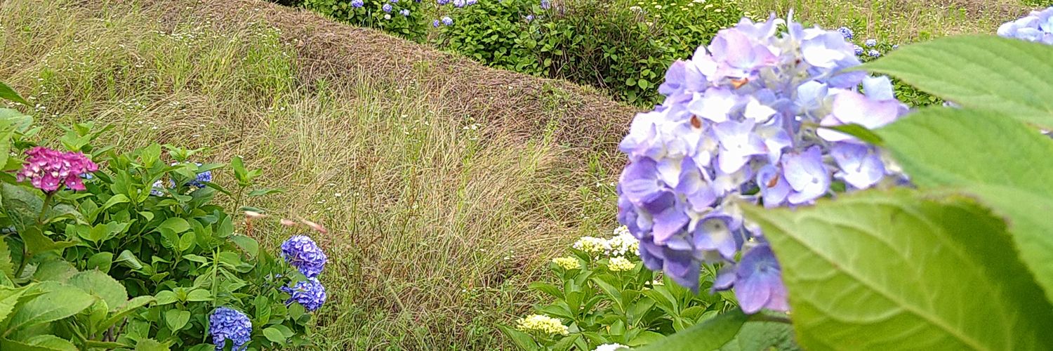 Macha24121572's profile banner image