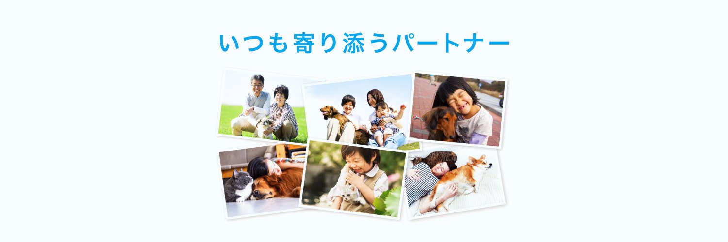 petkusuri's profile banner image