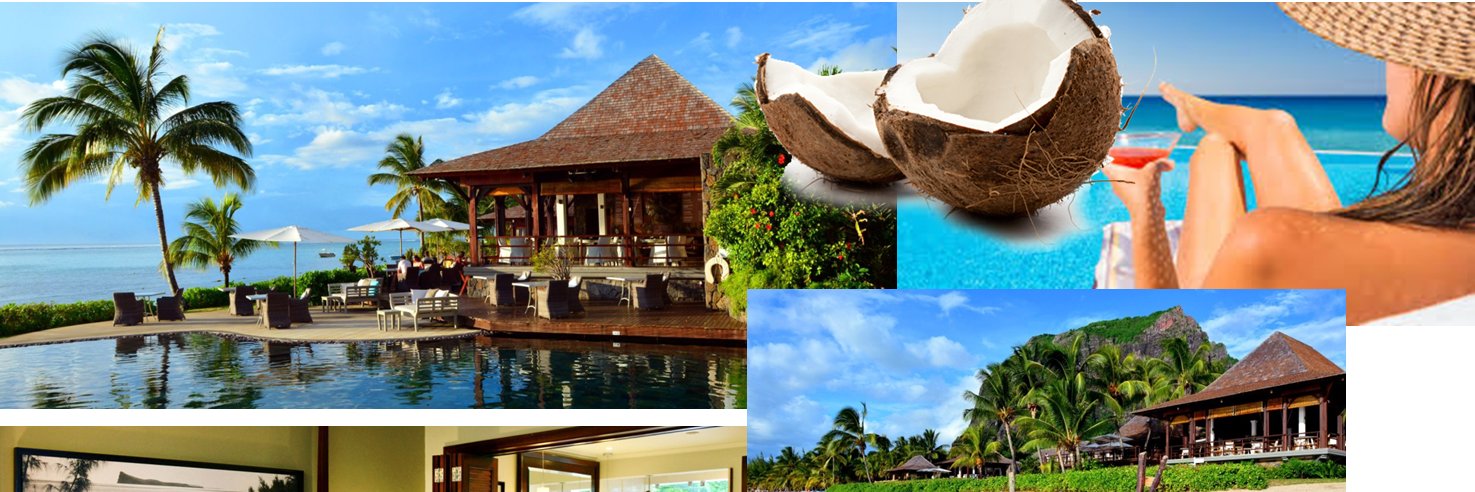 CryptomaneFranc banner