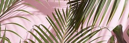 bansheebr0's profile banner image