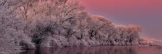 Ilan De Basso banner