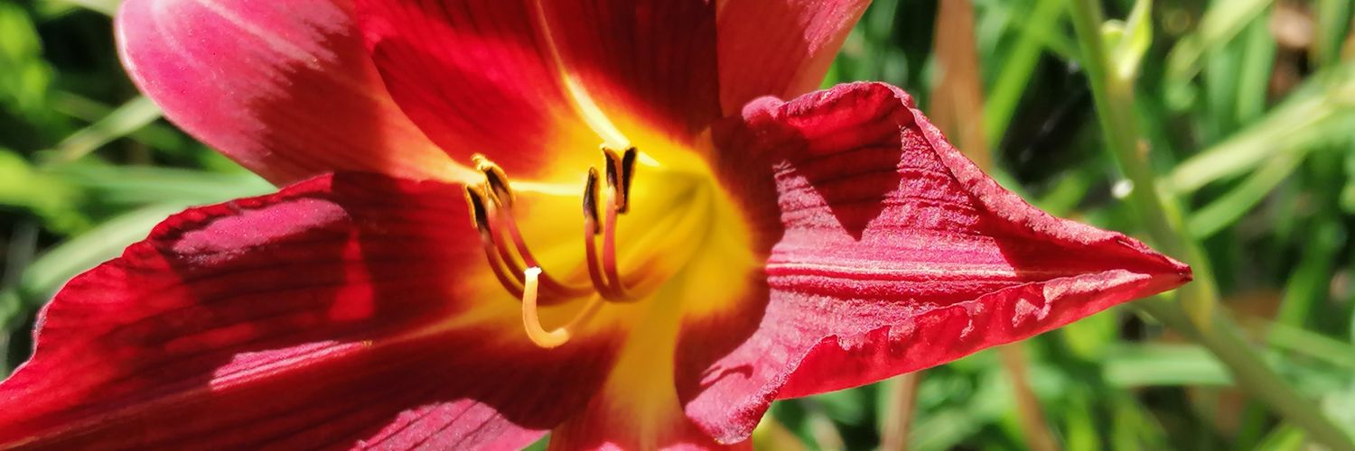 EscuderoJosem's profile banner image