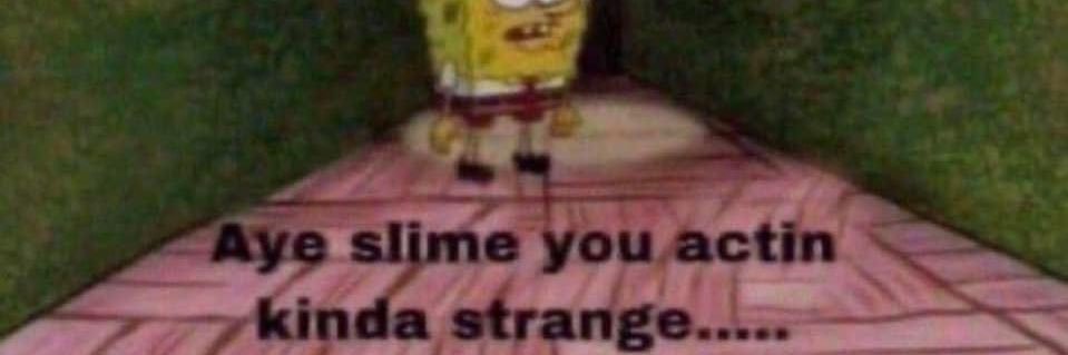 lilorangesodaa's profile banner image