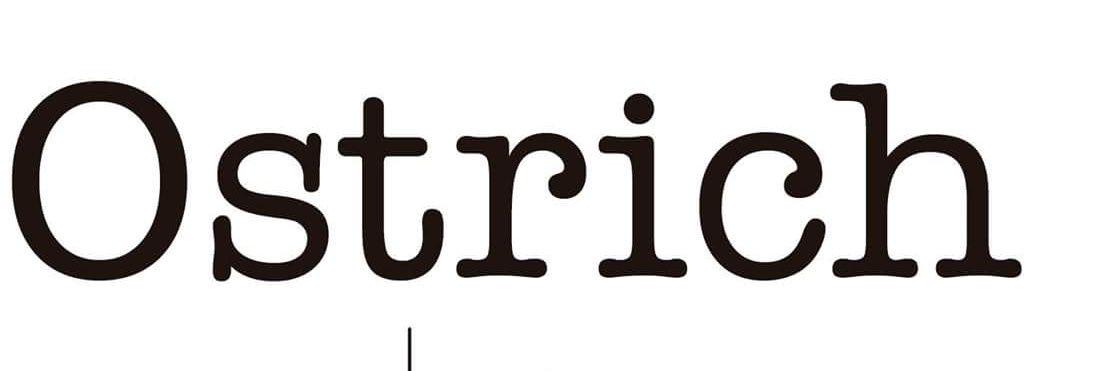 AstridOstrich's profile banner image