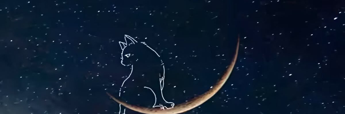 Ytyq_'s profile banner image