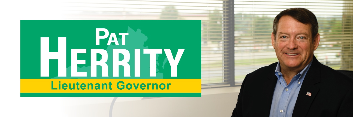 Pat Herrity's banner