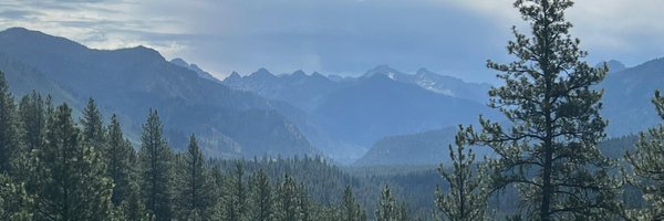echodroff Profile Banner
