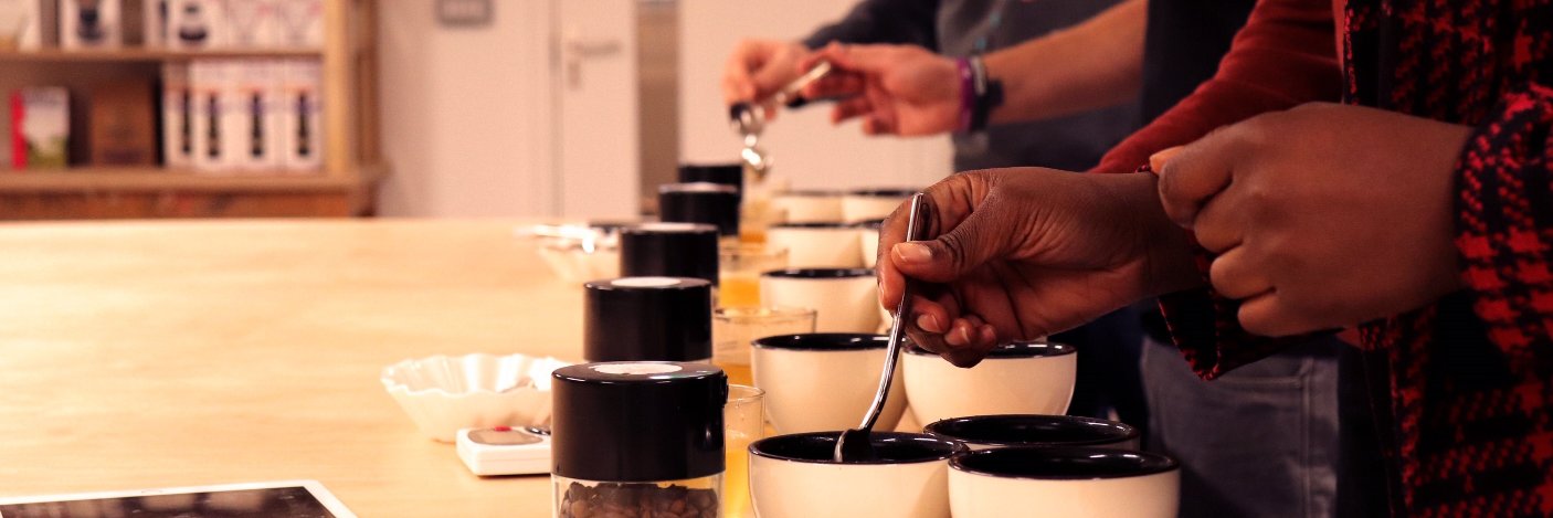 PLOT Roasting banner