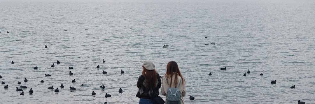 m_csn's profile banner image