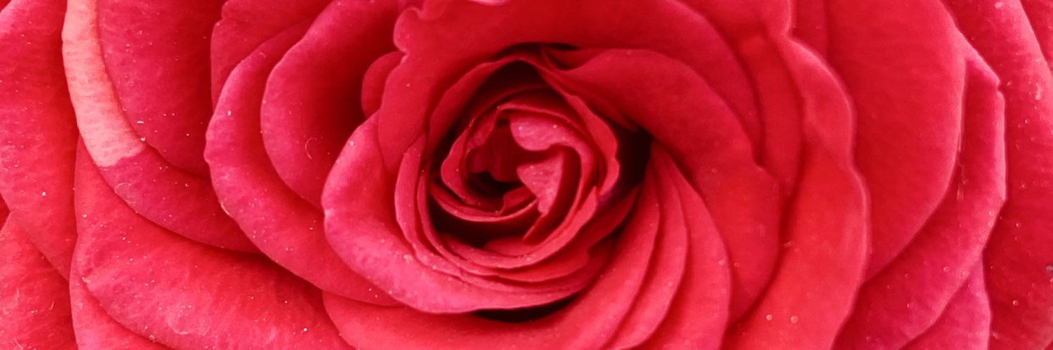 _MelSk's profile banner image