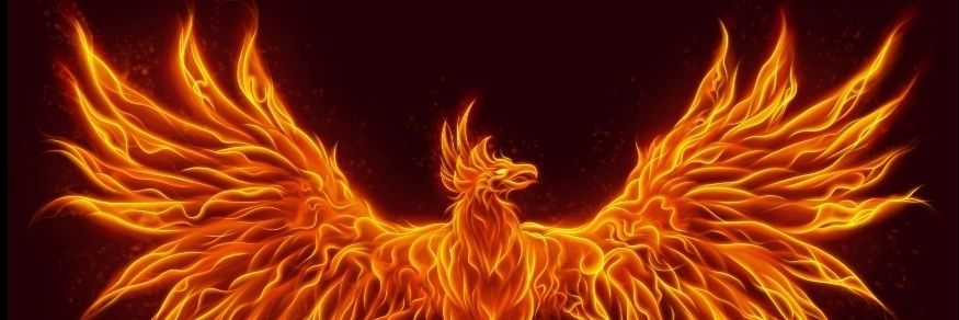 🔥Zoey Phoenix🔥 banner