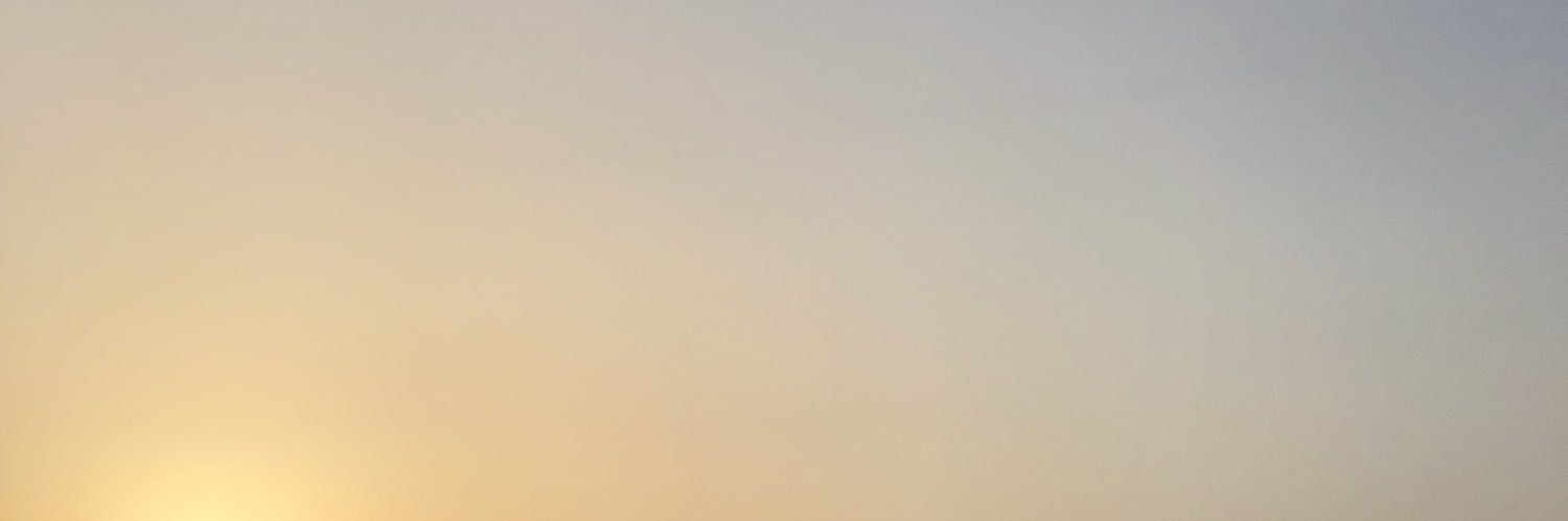 anna_riess's profile banner image