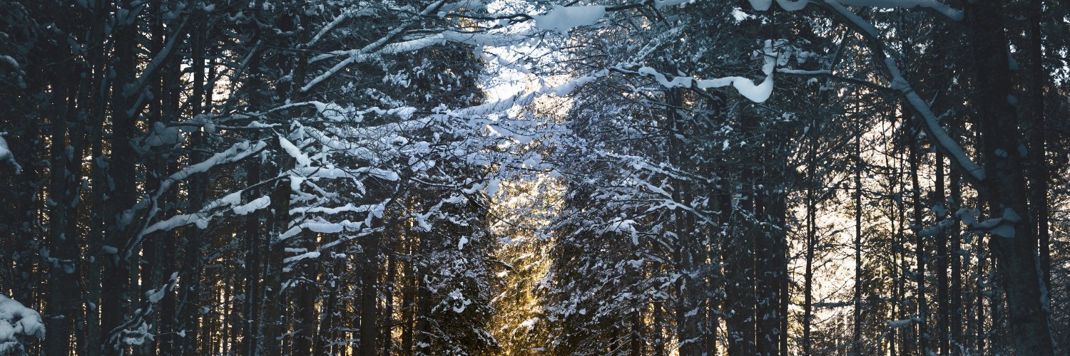 Elsa Wood (ผ่านแล้วค่ะ) banner