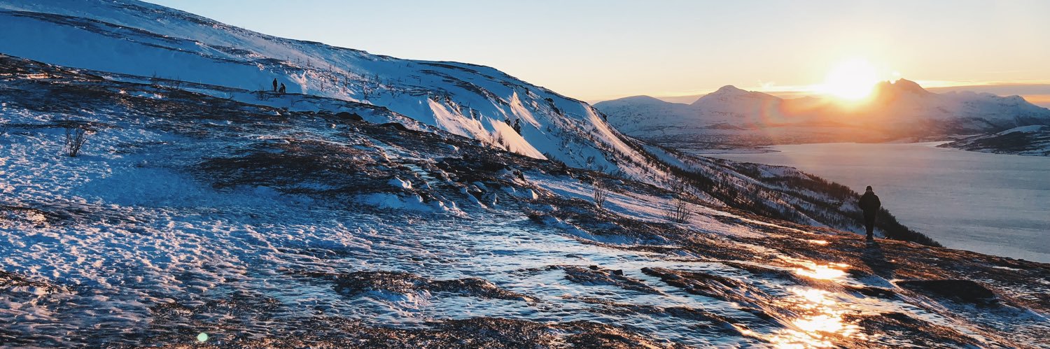 Felicia Hardi banner