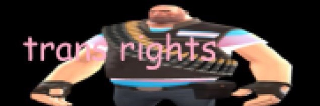 SusVixen's profile banner image