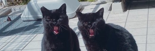 ysk_Janner's profile banner image