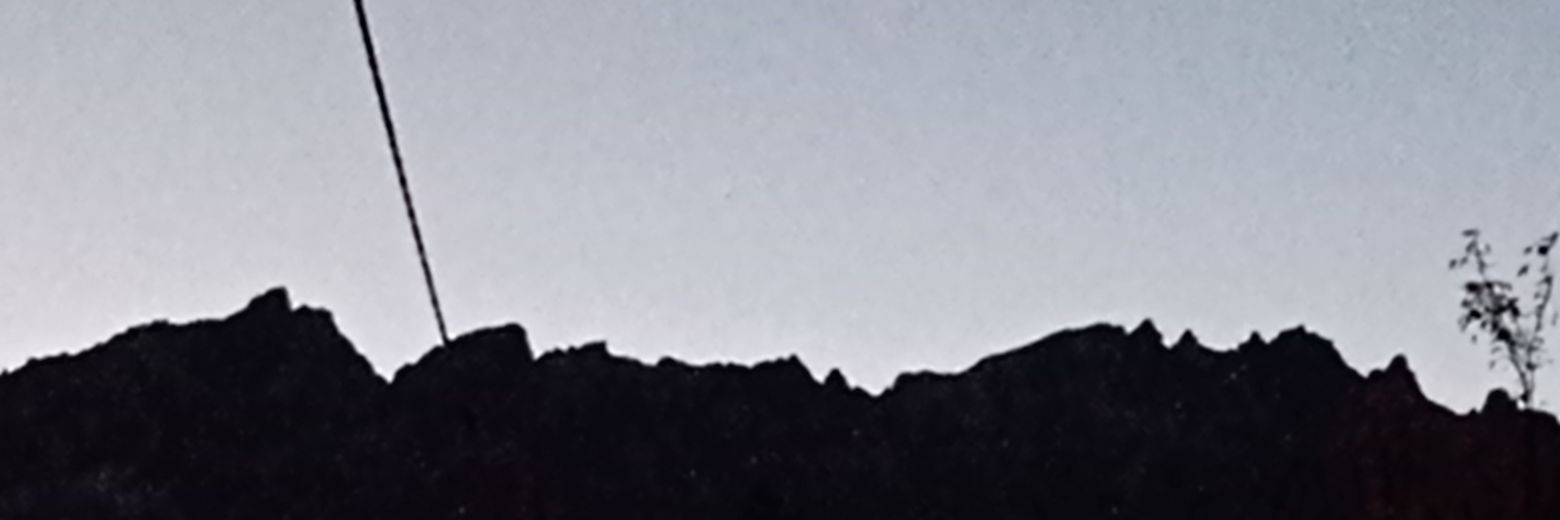 oli_borch's profile banner image