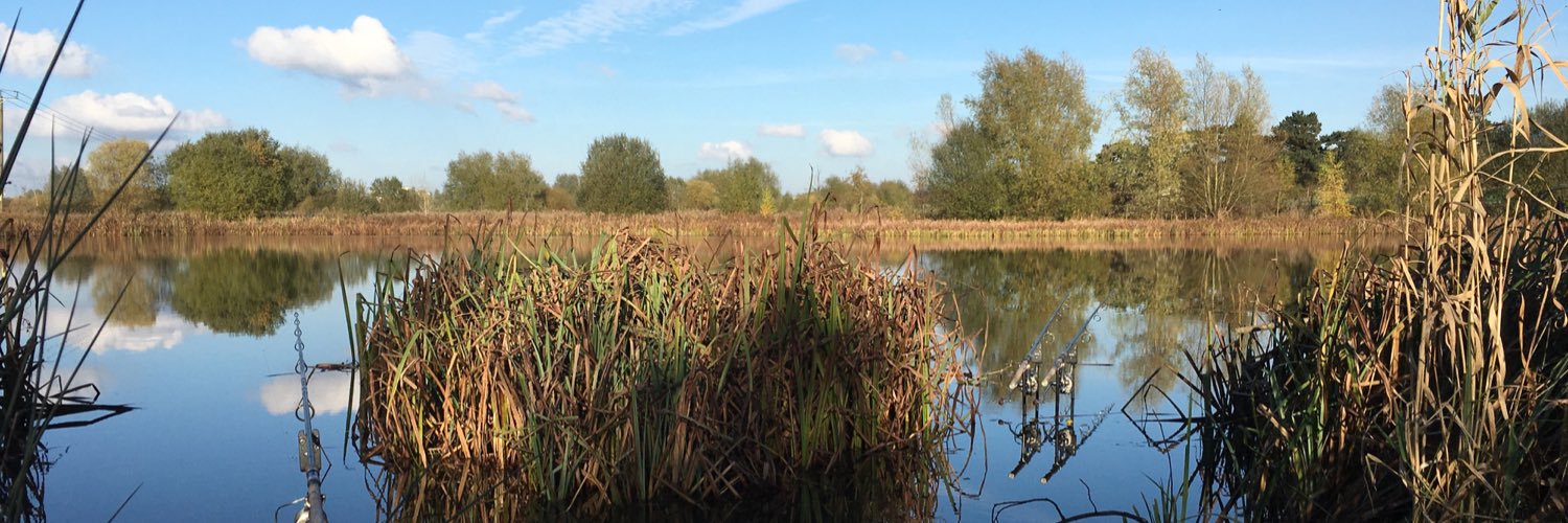 SterlingBaits's profile banner image