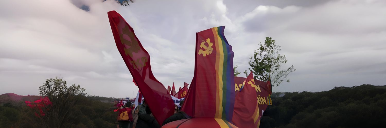 C.🇻🇪🇨🇺🇵🇸 banner