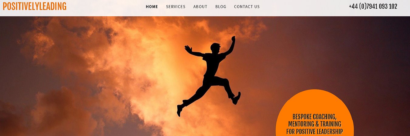 Mike Buchanan banner