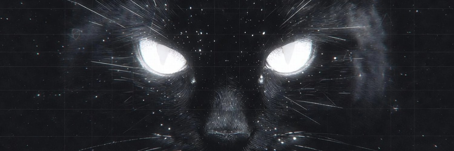 Void Cat banner