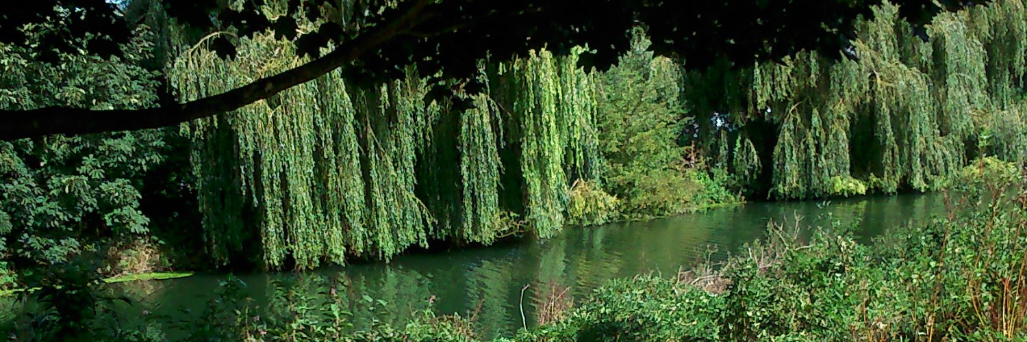 Student of Criminology banner