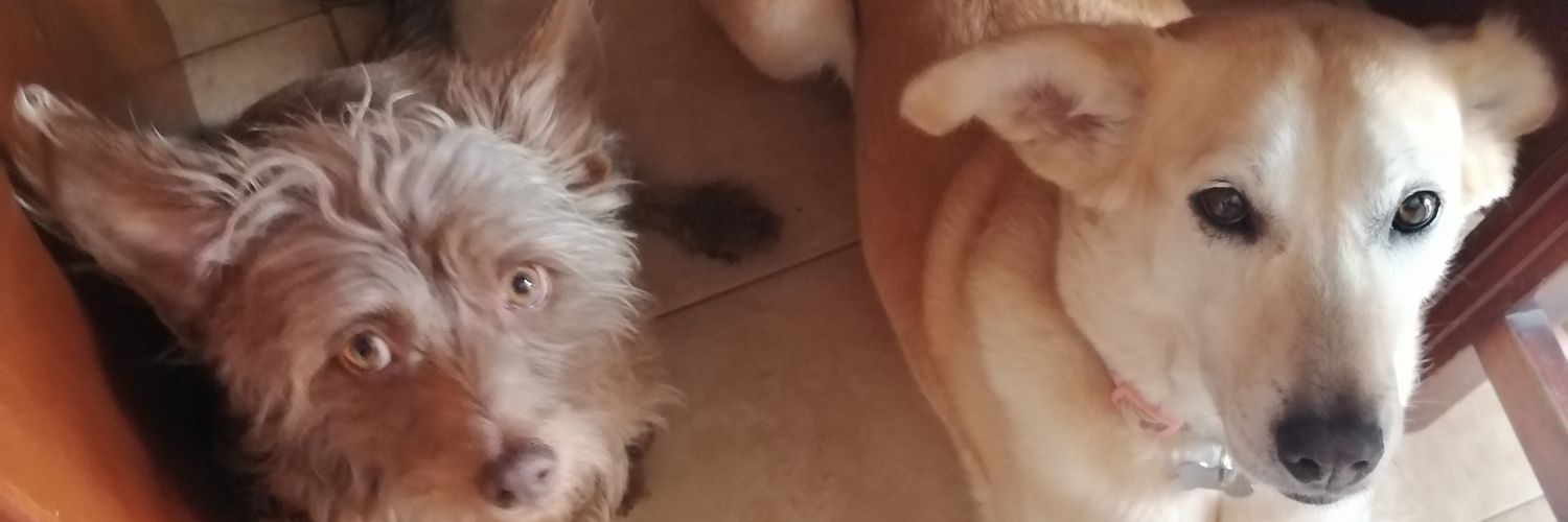 pato_enos's profile banner image