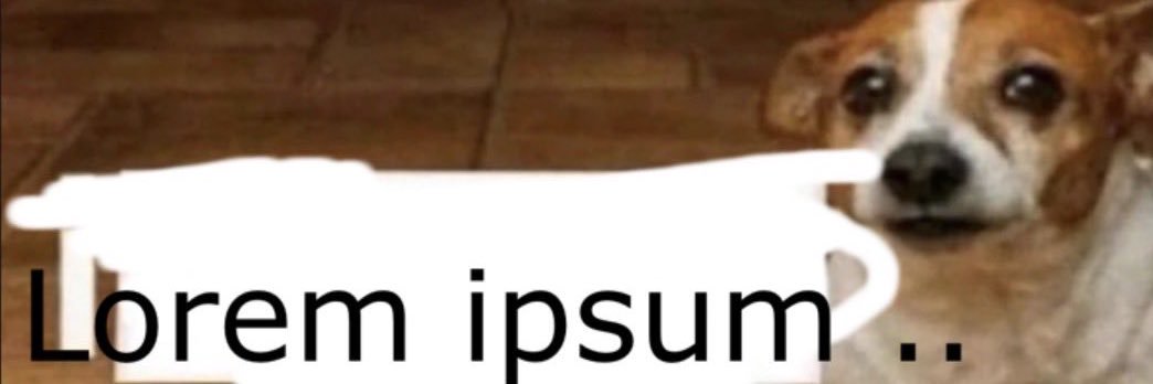 BigOtter banner