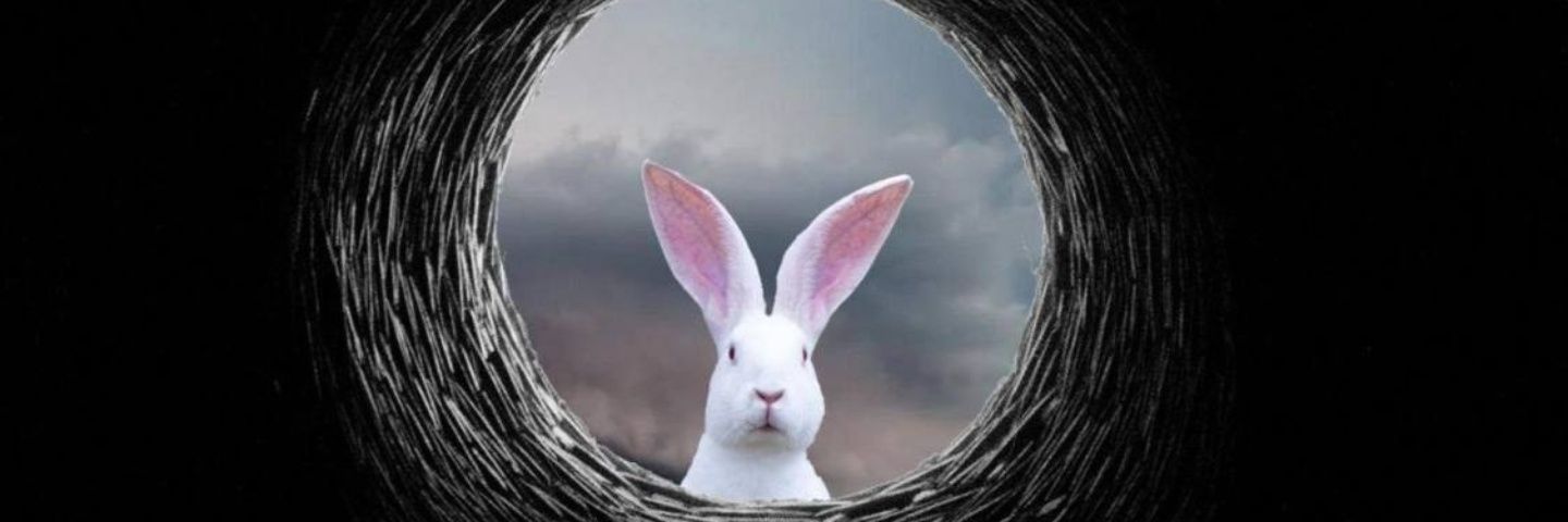 karma's banner