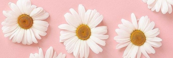 deyasauria's profile banner image