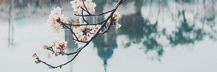 น้องพีชมาระบาย banner