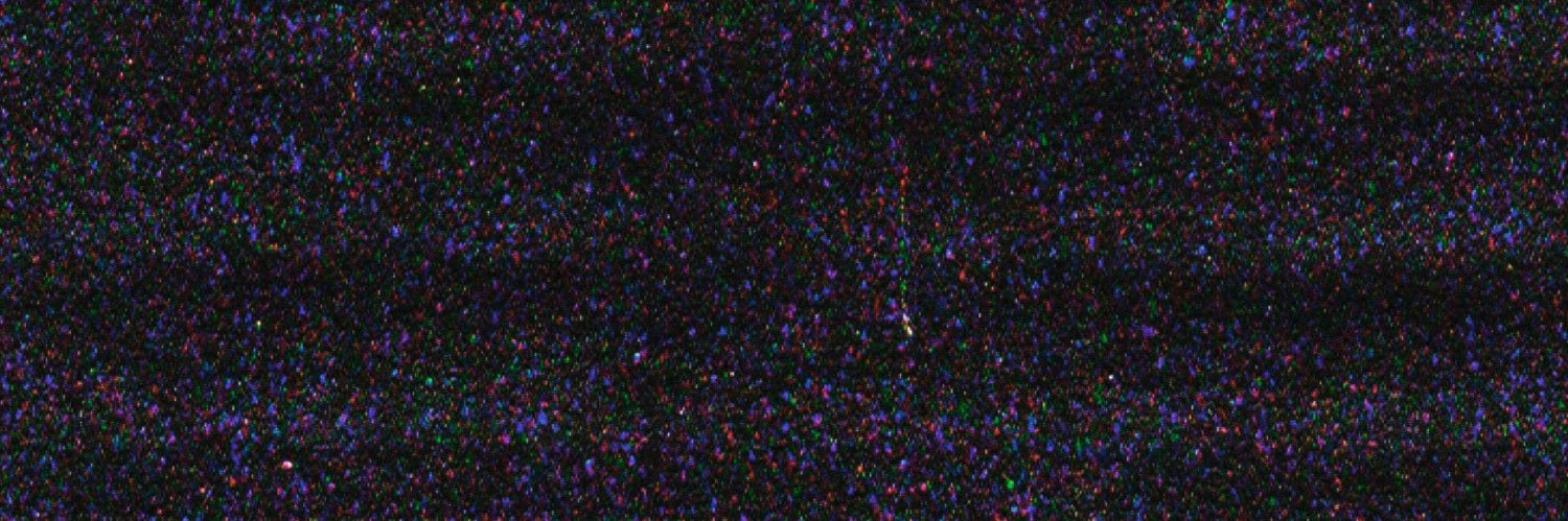 willow ♪'s banner