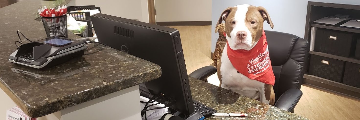 Westford Veterinary Emergency & Referral Center banner