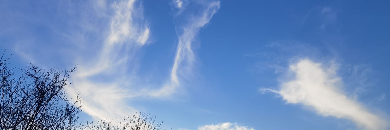 万恶的TM君 banner