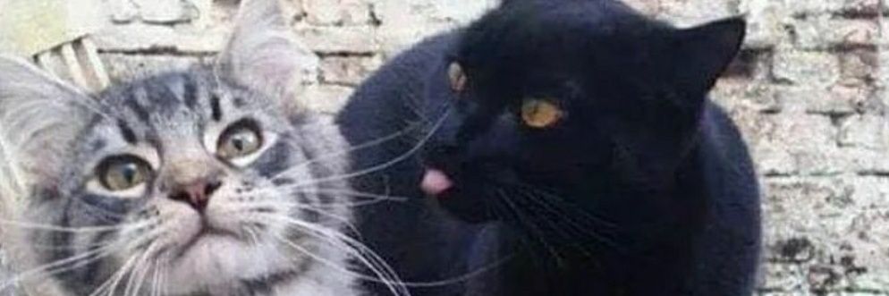 Kainerulz's profile banner image